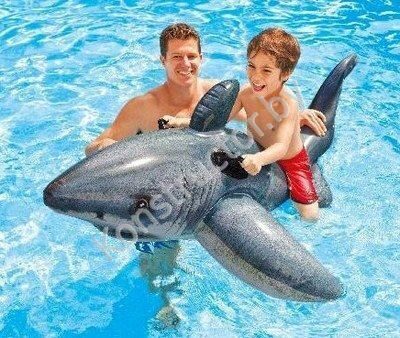 Надувная игрушка для плаванья Акула Intex 57525 Интекс (плот, каталка, наездник) 173х107 см