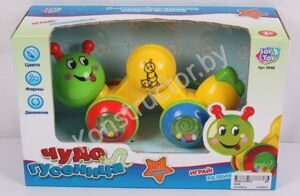 Развивающая игрушка Чудо-гусеница Joy Toy 0948 купить в Минске